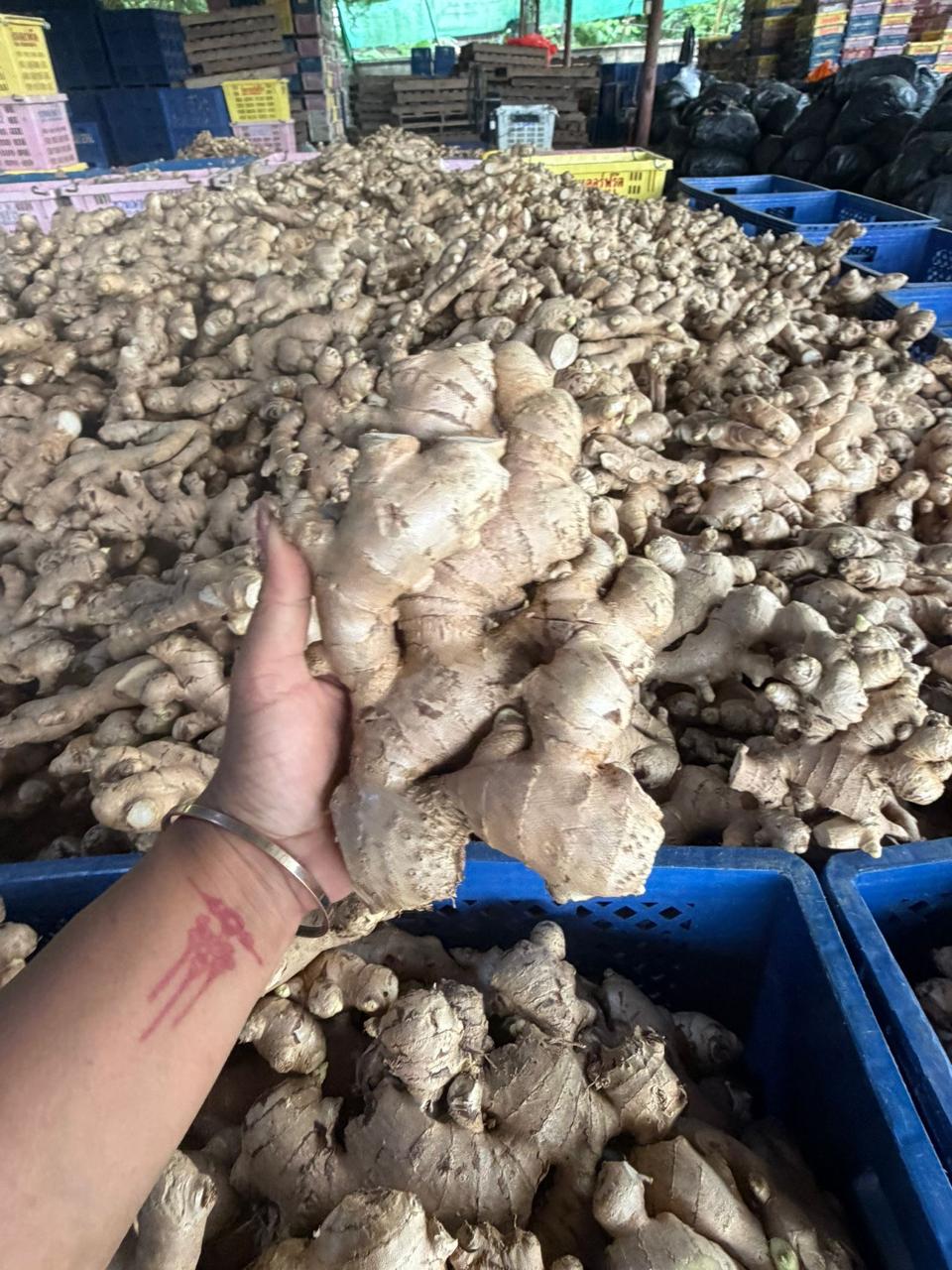 Thai Ginger